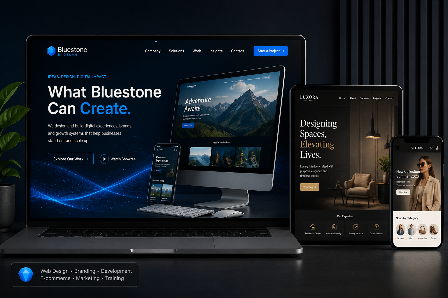Premium website design showcase